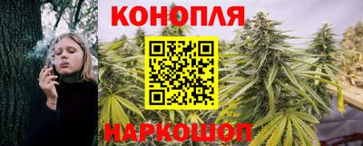 гашик Волгодонск